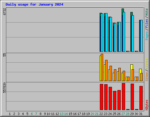 Daily usage for January 2024