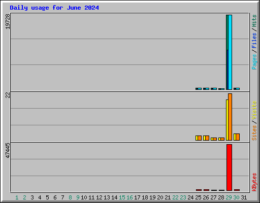 Daily usage for June 2024