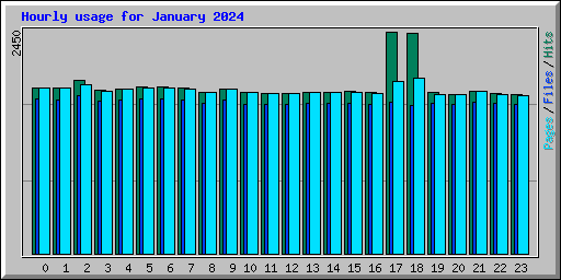 Hourly usage for January 2024