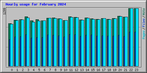 Hourly usage for February 2024