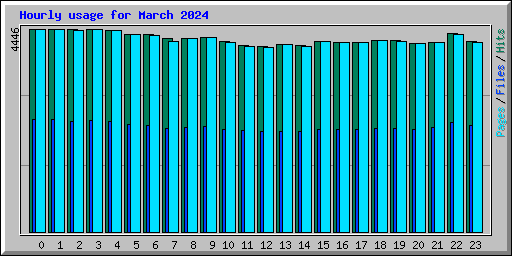 Hourly usage for March 2024