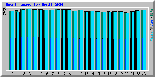 Hourly usage for April 2024