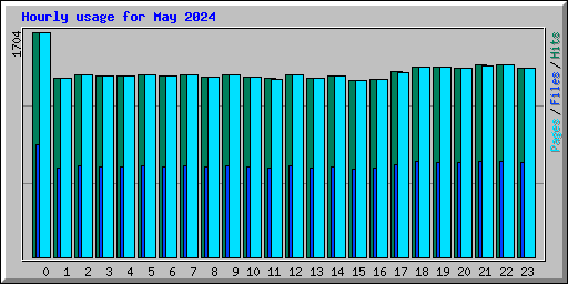 Hourly usage for May 2024