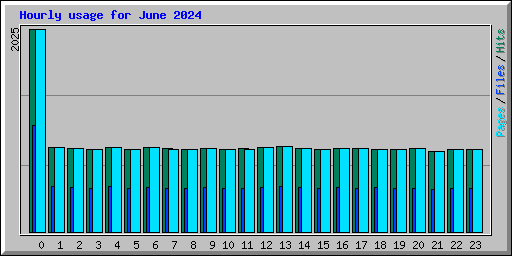 Hourly usage for June 2024