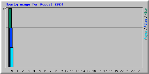 Hourly usage for August 2024